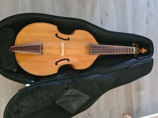 Viola da Gamba 7 cuerdas