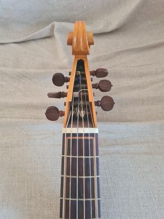 Viola da Gamba 7 cuerdas