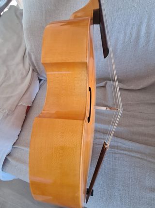 Viola da Gamba 7 cuerdas