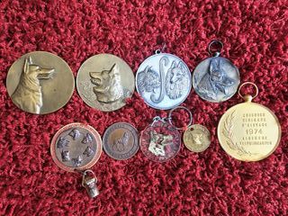 Lote de Medallas Antiguas: Mundo Canino