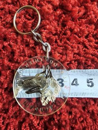 Lote de Medallas Antiguas: Mundo Canino