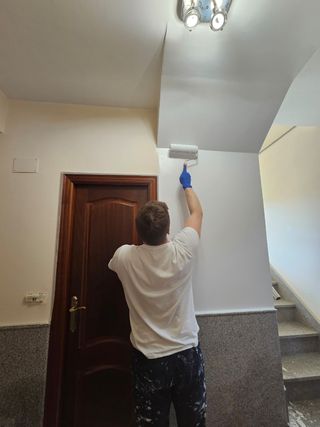 Pintor profesional Oviedo y Gijón