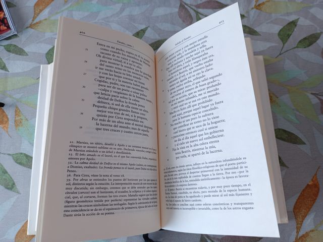 DIVINA COMEDIA de Dante Alighieri