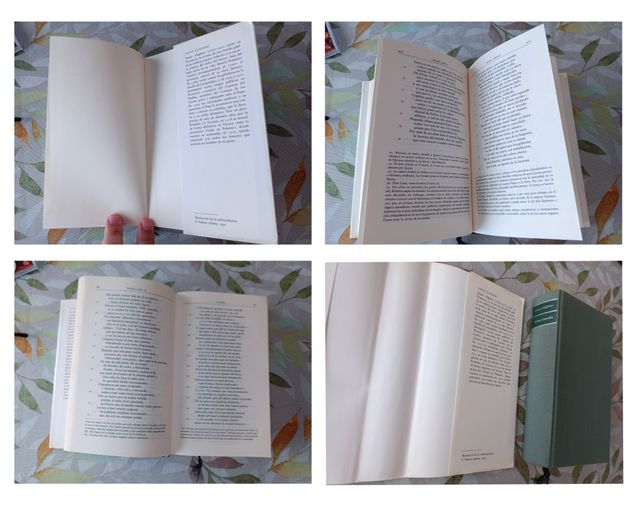 DIVINA COMEDIA de Dante Alighieri