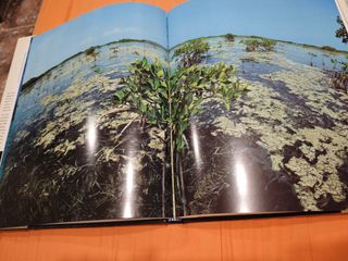 Mexico bajo el mar (Spanish Edition)