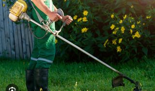 Limpieza y jardinería mensual