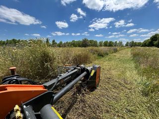 Desbroce de solares o parcelas