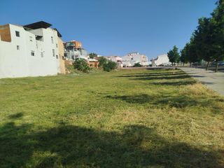 Desbroce de solares o parcelas