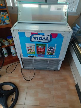Heladera expositora Vidal