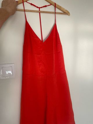 Mono rojo verano