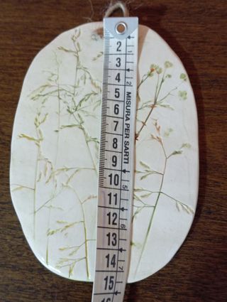 Quadretti botanici in ceramica