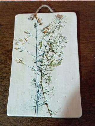 Quadretti botanici in ceramica
