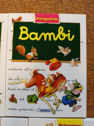 Lote libros con Pictogramas