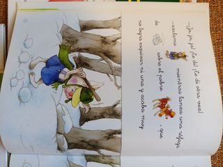 Lote libros con Pictogramas