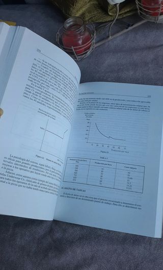 Manual de gestión de empresas de Santiago Garrido