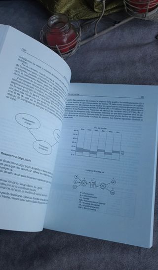 Manual de gestión de empresas de Santiago Garrido