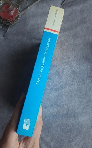 Manual de gestión de empresas de Santiago Garrido