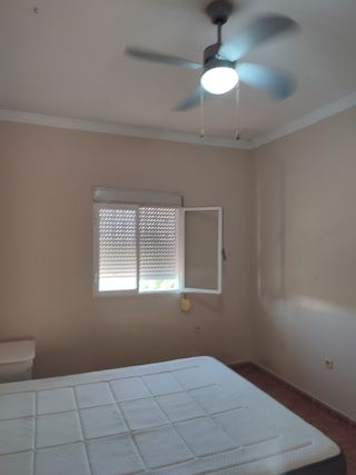 Casa rural con parcela