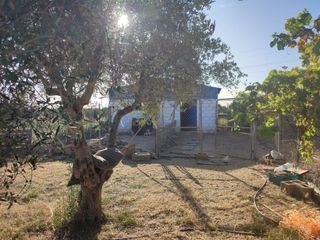 Casa rural con parcela