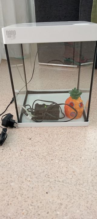 Acuario Nano 20Lts peces pequeños