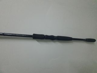 Caña Daiwa STZ XT 742XHRB-AF