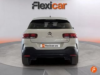 Citroën C4 Cactus PureTech 81KW (110CV) S&S Feel