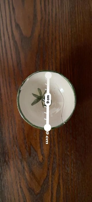 6 Cuencos aceitunas cerámica verde