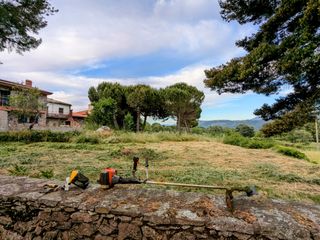 Corte de césped hierbas con desbrozadora económico