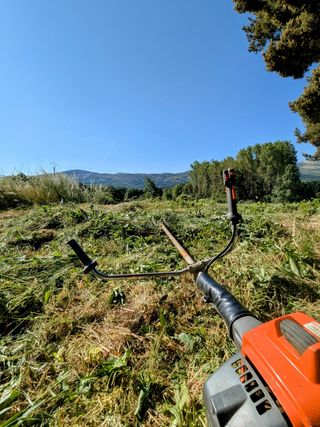Corte de césped hierbas con desbrozadora económico