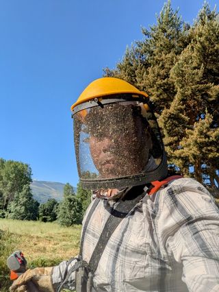 Corte de césped hierbas con desbrozadora económico