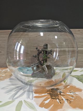 Pecera cristal decoración acuario