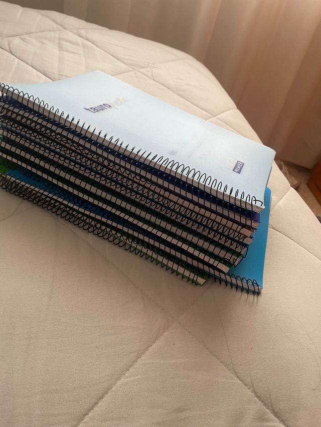 Cuadernos de cuadritos