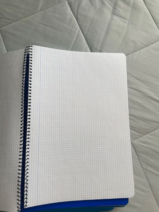 Cuadernos de cuadritos