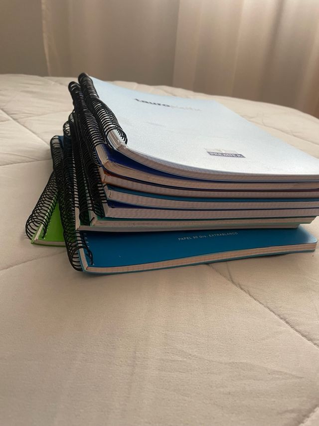 Cuadernos de cuadritos