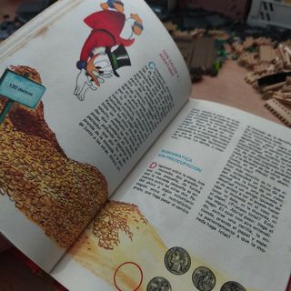 MANUAL DE PATOMAS. WALT DISNEY. -ED. EDICIONES