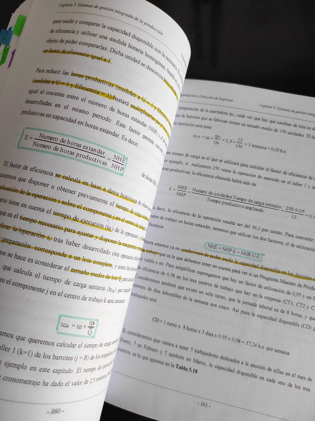 Organización y Dirección de Empresas