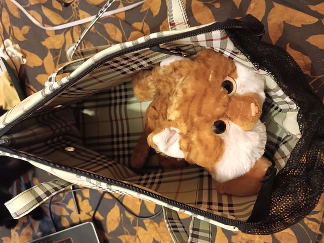 Bolso transporte mascotas freedog