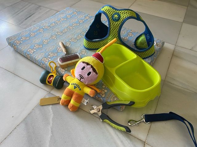 Lote accesorios perro