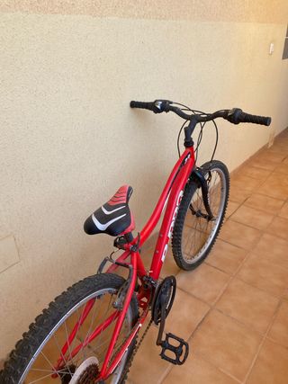 Bicicleta montaña niña 20" roja