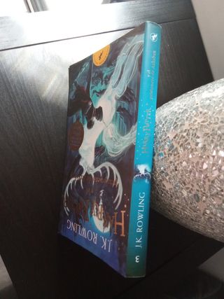 Libro de Harry Potter 
