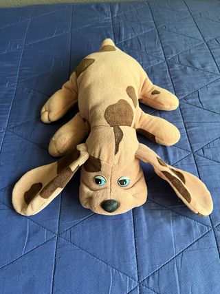 Perro Tristón.