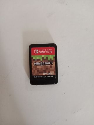 Minecraft Nintendo Switch