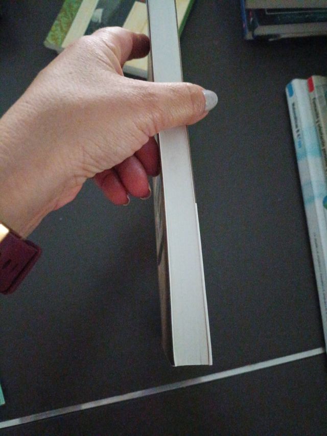 El enigma del scriptorium (Spanish Edition)