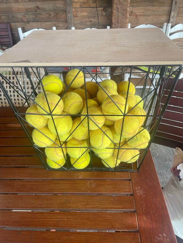 Cesto con pelotas tenis