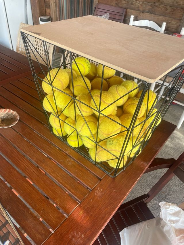 Cesto con pelotas tenis