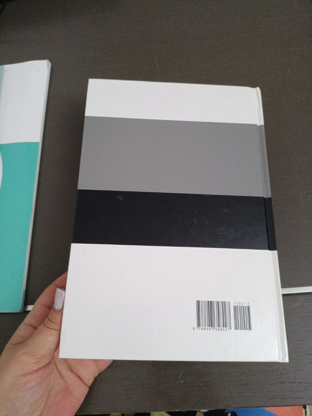 diccionario Larousse Castellano -Euskera