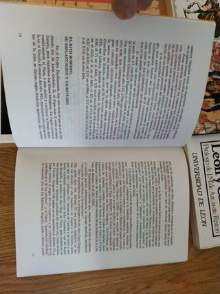 Los árabes en España y Europa