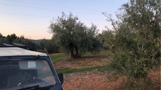 Servicio de mantenimiento y desbroce de terrenos