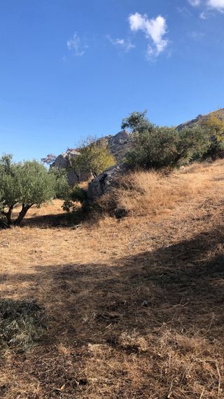 Servicio de mantenimiento y desbroce de terrenos