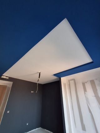 Pintor profesional Madrid